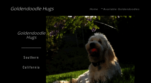 goldendoodlehugs.com