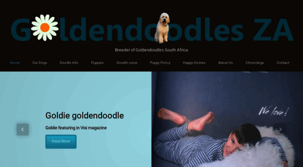 goldendoodles.co.za