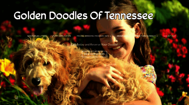 goldendoodlesoftn.com