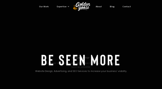 goldengoosedm.com