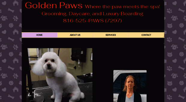 goldenpawspetspa.com