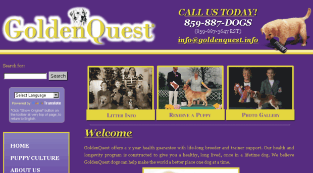 goldenquest.info