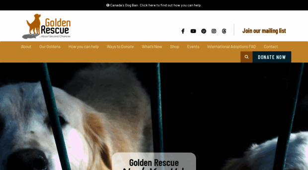 goldenrescue.ca