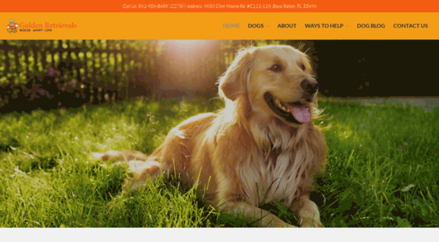 goldenretrievals.org