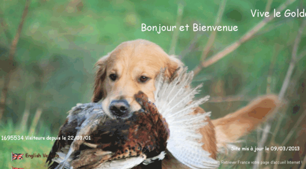 goldenretriever-france.com