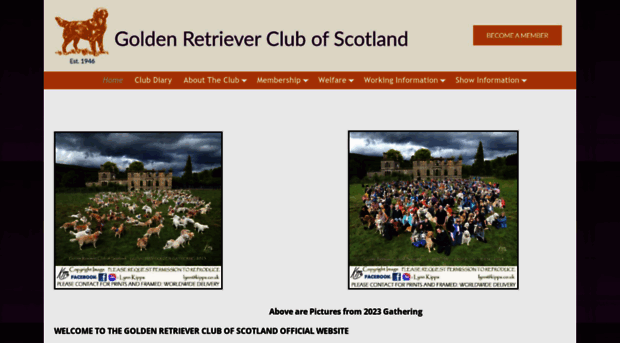 goldenretrieverclubofscotland.com