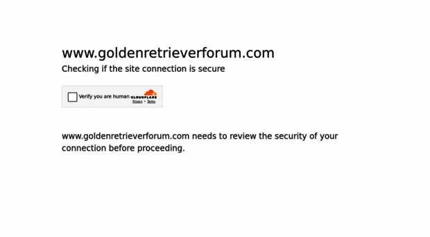 goldenretrieverforum.com