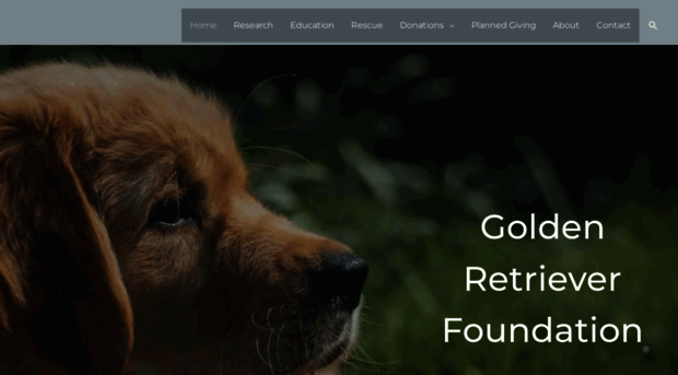 goldenretrieverfoundation.org