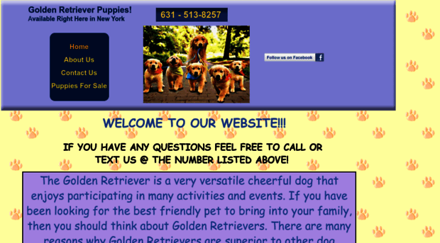 goldenretrievernewyork.com