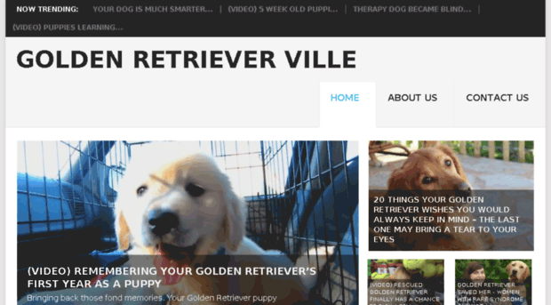 goldenretrieverville.com