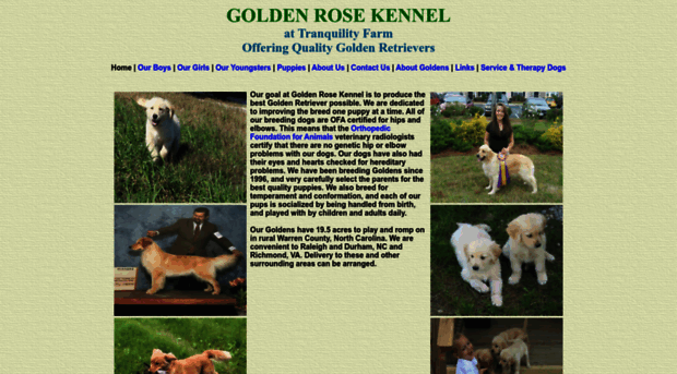 goldenrosekennel.com