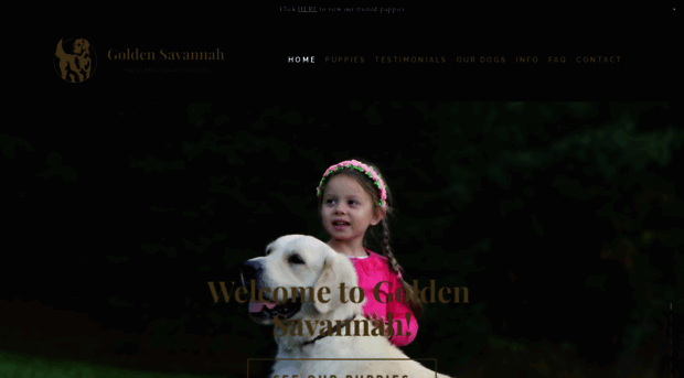 goldensavannah.com