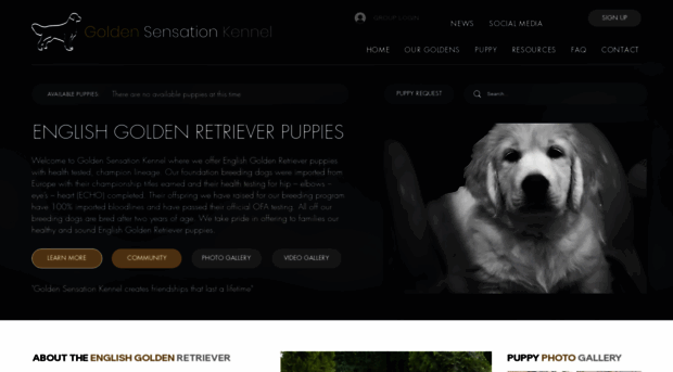 goldensensationkennel.com