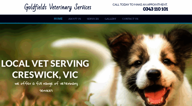 goldfieldsvet.com.au