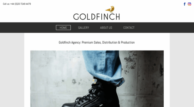 goldfinchagency.com