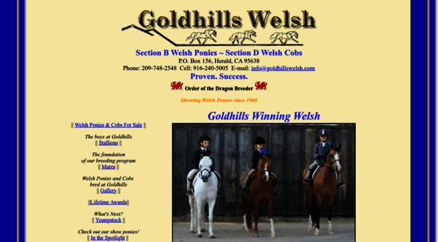 goldhillswelsh.com