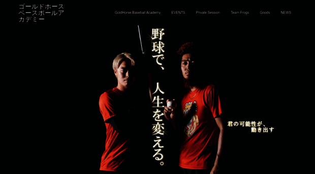 goldhorsebaseballacademy.com