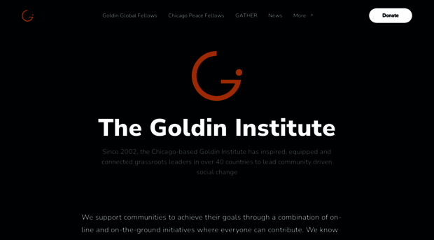 goldininstitute.org