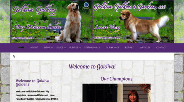 goldivagoldens.com