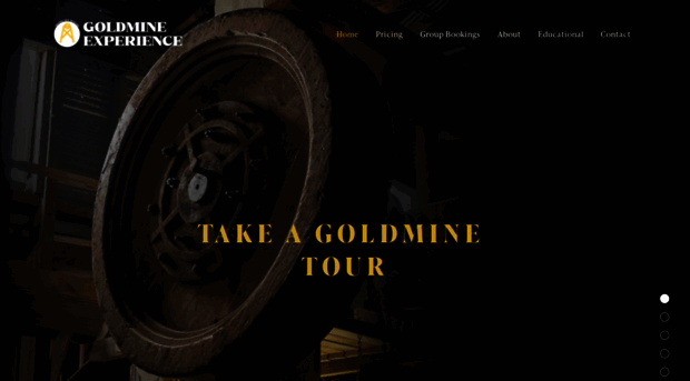 goldmine-experience.co.nz