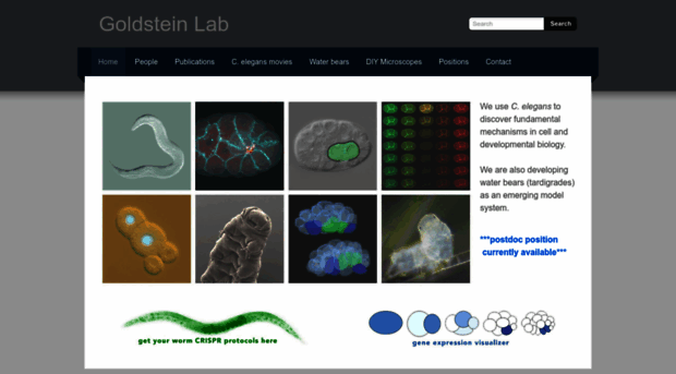 goldsteinlab.weebly.com