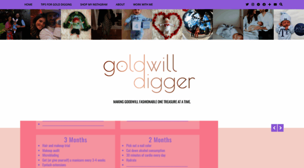 goldwilldigger.com