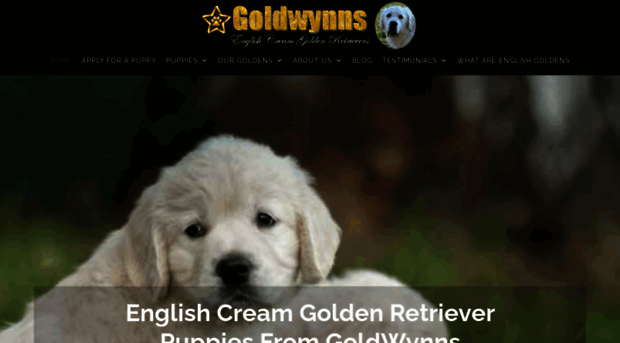 goldwynns.com