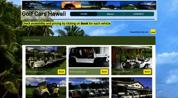 golfcarshawaii.com