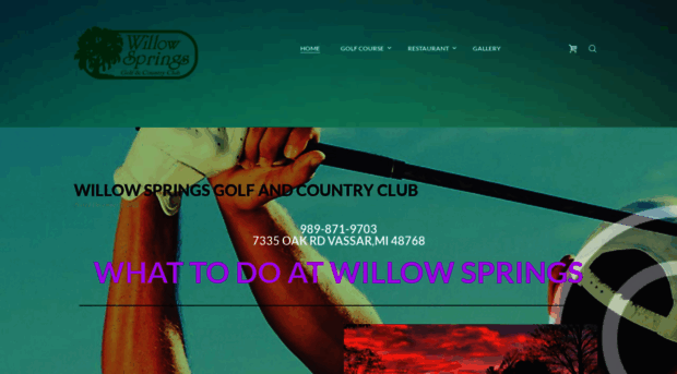 golfthewillow.com