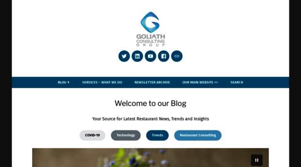 goliathconsulting.blog