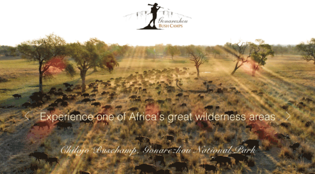 gonarezhou-bushcamps.com