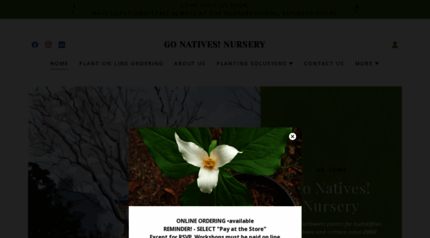 gonativesnursery.com