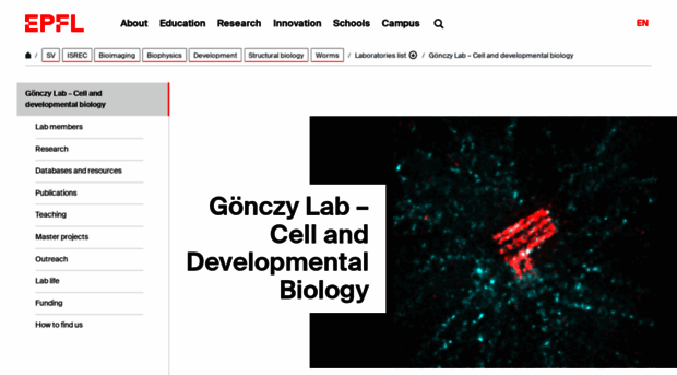 gonczy-lab.epfl.ch