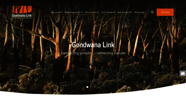 gondwanalink.org