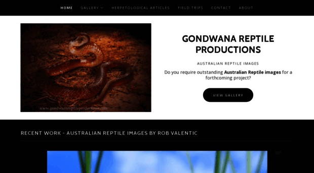 gondwanareptileproductions.com