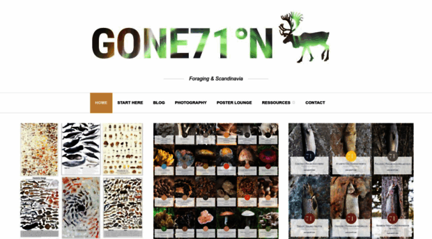 gone71.com