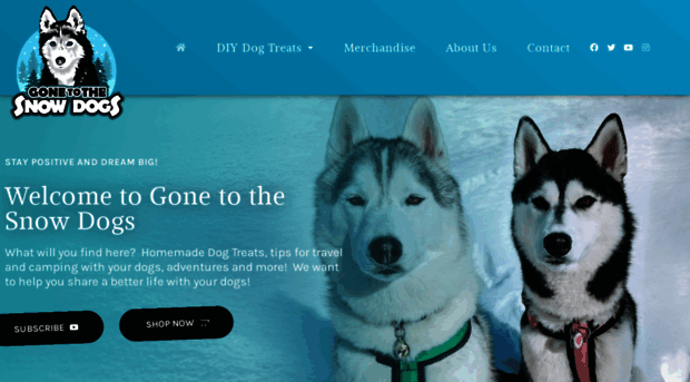 gonetothesnowdogs.com