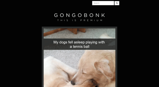 gongobonk.com