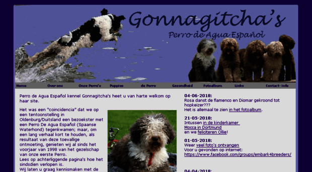 gonnagitchas.nl