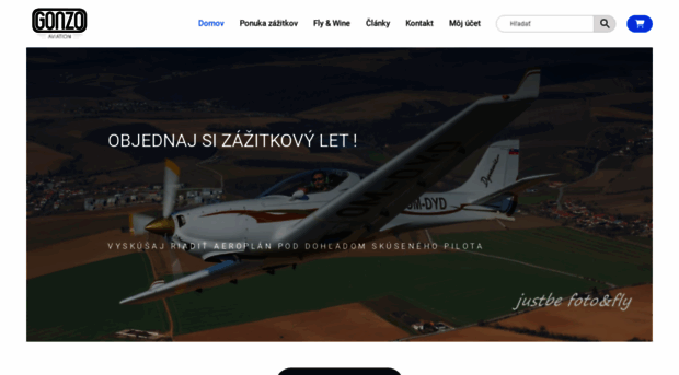 gonzoaviation.com