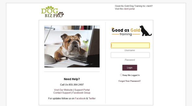 goodasgolddogtraining.dogbizpro.com