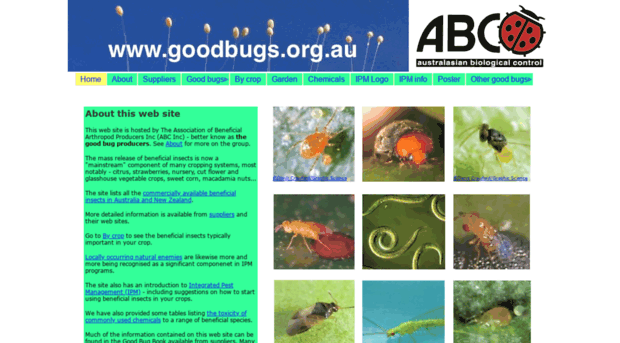 goodbugs.org.au