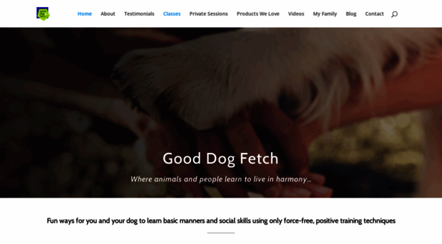 gooddogfetch.com