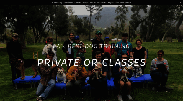 gooddogk9training.com