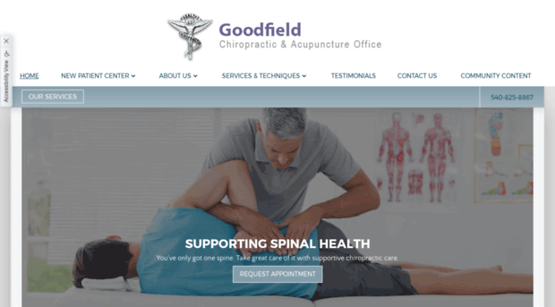 goodfieldchiropractic.com