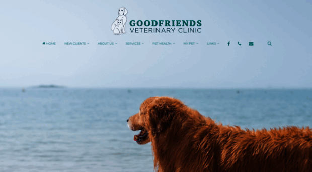 goodfriendsvet.com