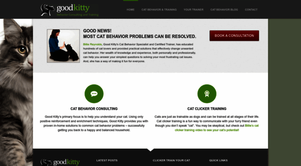 goodkittybehavior.com