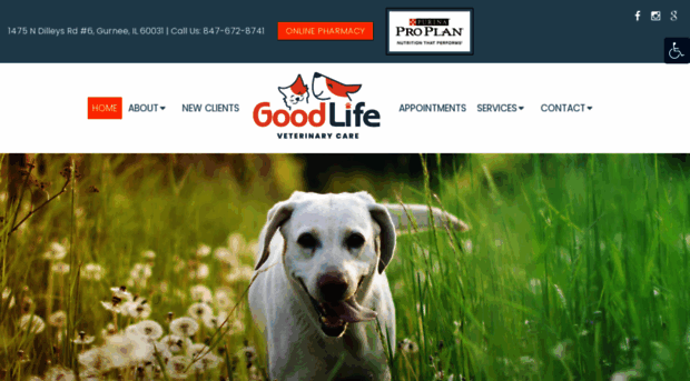 goodlifeveterinary.com