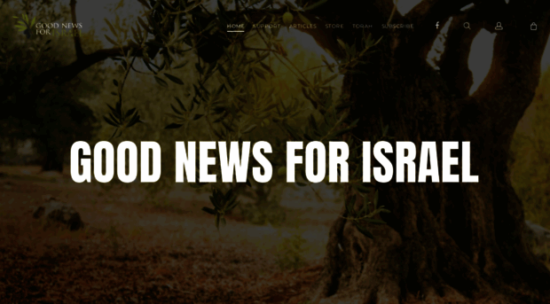 goodnewsforisrael.com