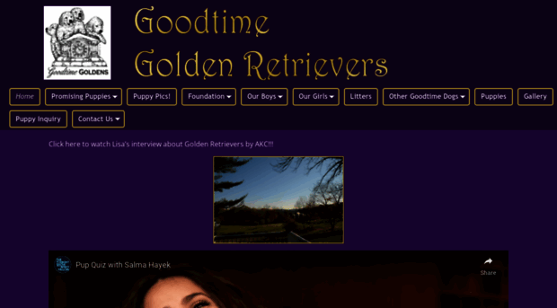 goodtimegoldenretrievers.com